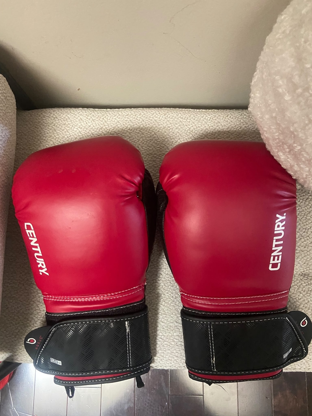 Century Red Boxing Gloves